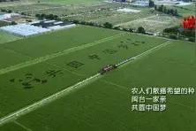 福清：“艺术稻田”与宗鹤拳的精彩邂逅图片