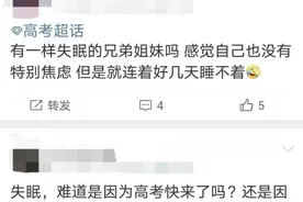 高考前夜，妈妈安慰我“条条大路通罗马”，我在床上翻译了一整晚图片