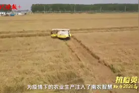 抗疫英雄助力高考生 | 南农大农学院院长朱艳：祝愿你们超常发挥，梦想成真图片