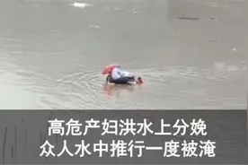 成都大熊猫基地，2只幼仔抢救无效死亡图片
