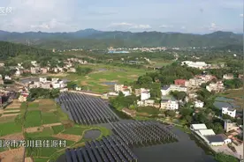视频｜集体收入增长超百倍，这个千年古村为何这么“牛”？图片