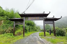 携手实施“飞猪”计划 临安精准助力黔农脱贫图片