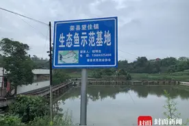 四川荣县盐卤污染鱼塘后续：协调成功，企业与养殖户达成赔偿协议图片