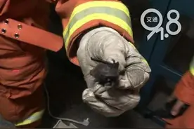 “我家有蝙蝠在飞！”杭州一住户再打开空调一看，里面密密麻麻全是...图片