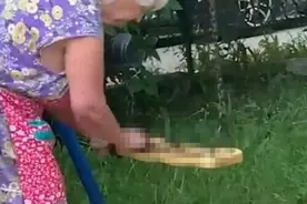 90岁妇女为拆除秋千 不断在上面涂粪便图片
