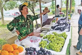 建起销售点 葡农可出摊图片
