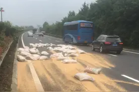 货物捆扎不牢，黄豆、面粉“铺”满高速路图片