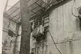 误以为警察抓赌，男子从麻将馆厕所跳窗，结果摔成十级伤残，牌馆老板和两名牌友被他告上法庭索赔19万图片