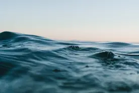 一课译词：兴风作浪图片