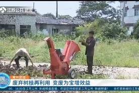 常州武进：废弃树枝再利用，变废为宝增效益，两全其美！视频封面