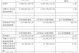 疫情下的第三方医学检测机构：检测量暴增，盈利能力各有不同图片