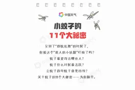 一图了解小蚊子的11个大秘密图片