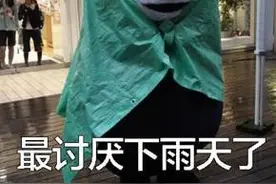 暴雨过后，杨浦交警捡到7块车牌及时归还车主图片