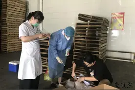 全部阴性！南京进口生鲜食品新冠病毒监测结果公布图片