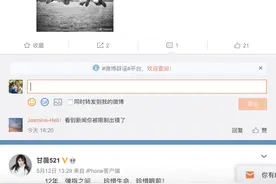 贾跃亭还没回国，甘薇今被“限制出境”，涉及执行金额5亿元图片