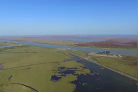 大流量洪水过程为河口三角洲生态带来“输血性”改善视频封面