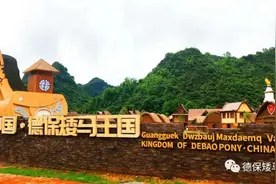百色 | 游玩德保矮马王国，体验IP童话乐园图片