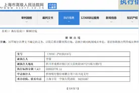 贾跃亭归国尚无期，甘薇又被限制出境，涉招商银行5.33亿贷款图片