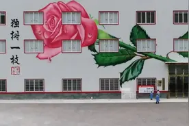 新华纵横｜玫瑰花开 香飘高原（成品）图片