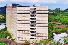 养鸡新鲜事：种鸡住楼房“吃喝拉撒”智能化图片