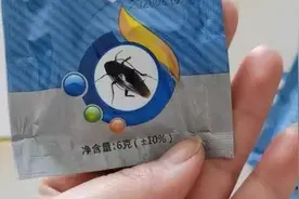 4岁哥哥拿蟑螂药当"糖"喂弟弟 家长发现时已吃下半包图片