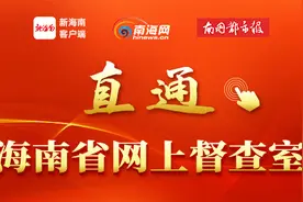 网上督查 | 海口一餐酒吧被投诉噪音扰民 有关部门要求整改图片
