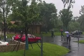 杭州3岁女娃被锁车内，哭到满身大汗！夏天到了，这件事可马虎不得图片