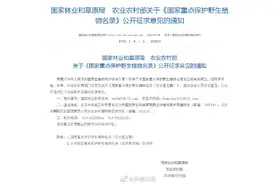 国家重点保护野生植物名录征求意见了！104种兰花拟新增为重点保护植物图片