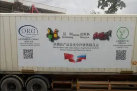 “云果”首乘中欧班列直运出口俄罗斯图片