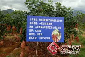 “云果”首乘中欧班列直运出口俄罗斯图片