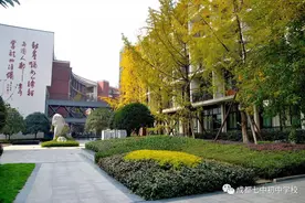 官宣！2020年成都高新区站南学区小升初“多校划片”方案确认图片