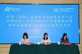 自贸区南京片区放宽外商投资人力资源服务机构准入政策图片