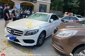 花18元买鸡蛋怒砸奔驰车，结果赔了2万1！有啥仇？图片