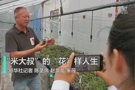 “米大叔”的“花样年华”图片