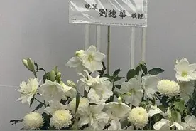 刘德华VS何鸿燊，啥关系？图片