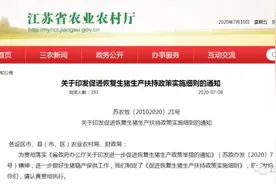 江苏放大招：猪场出栏1万头猪，奖励100万图片