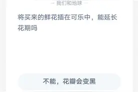 买来的鲜花插在可乐中能延长花期吗？可乐为什么可以延长鲜花花期图片