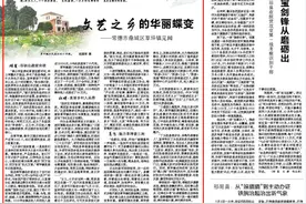 湖南日报：文艺之乡的华丽蝶变 ——常德市鼎城区草坪镇见闻图片