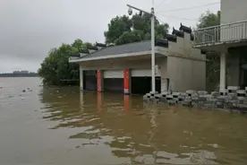 九江江洲镇号召在外乡亲回乡抗洪：水位持续涨，修筑子坝人手短缺图片