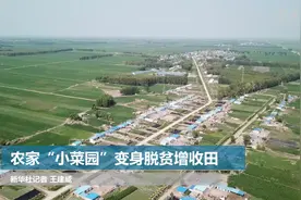 农家“小菜园”变身脱贫增收田视频封面