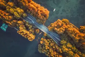 古典园林专家带您游学江南园墅 | 研学杭州图片