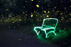 仲夏夜之梦图片