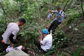 小车摔下百米山崖司机卡在山腰，大义村民镰刀劈树砍出生命之路图片