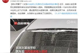 家长哭晕了！女孩为捡树上玩具扔石头砸碎奔驰车窗图片