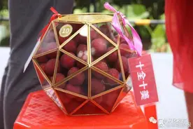 20万一份！从化这棵世界最大荔枝皇古树拍出“天价”图片