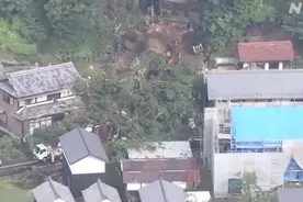 日本千年神树因大雨连根倒地，压倒附近住宅和电线致多户家庭停电图片