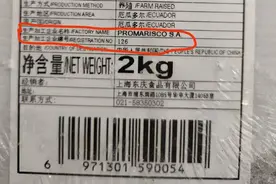 厄瓜多尔冷冻虾检测到病毒后 郑州销售的虾咋处理了？图片