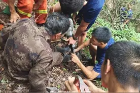 浙江一老伯深山采灵芝险遭不测，消防翻山越岭数小时将其救下山图片