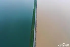 江西鄱阳湖水位暴涨破历史 一堤之隔泾渭分明图片