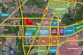 山东国泰“智谋”青岛，启幕5G信息产业新篇图片